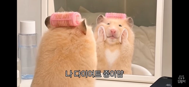 [스위치온 다이어트] 스위치온 다이어트 4주 플랜(후기ㅇ) | 내 몸 혁명 | 박용우 다이어트 | ....