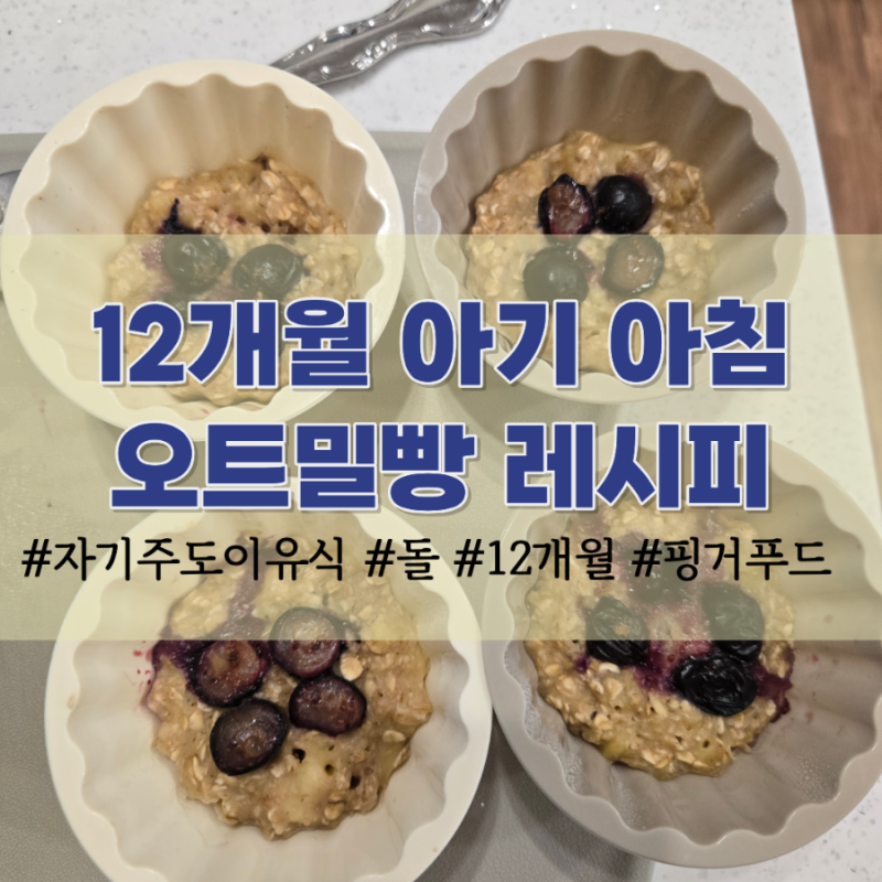 12개월 돌 아기 아침 메뉴 추천: 오트밀 빵 레시피 3가지(노계란)