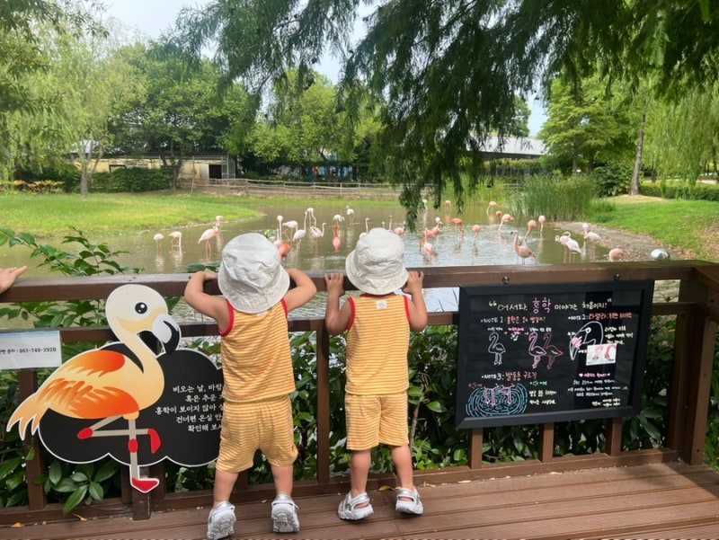 아이와 함께 순천만국가정원 어린이동물원 전남 나들이 추천 순천 주말 놀거리