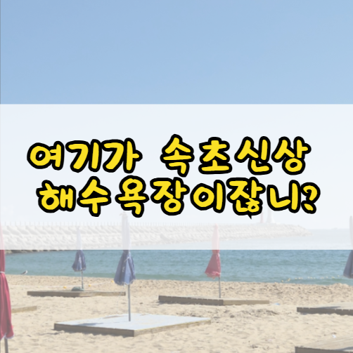 "아직 사람 몰리기 전!" 속초 신상 청호해수욕장 직접 가보니