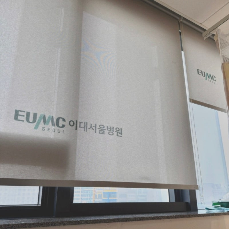 이대서울병원 자궁내막 용종 자궁경 폴립 제거 수술 후기 (1)