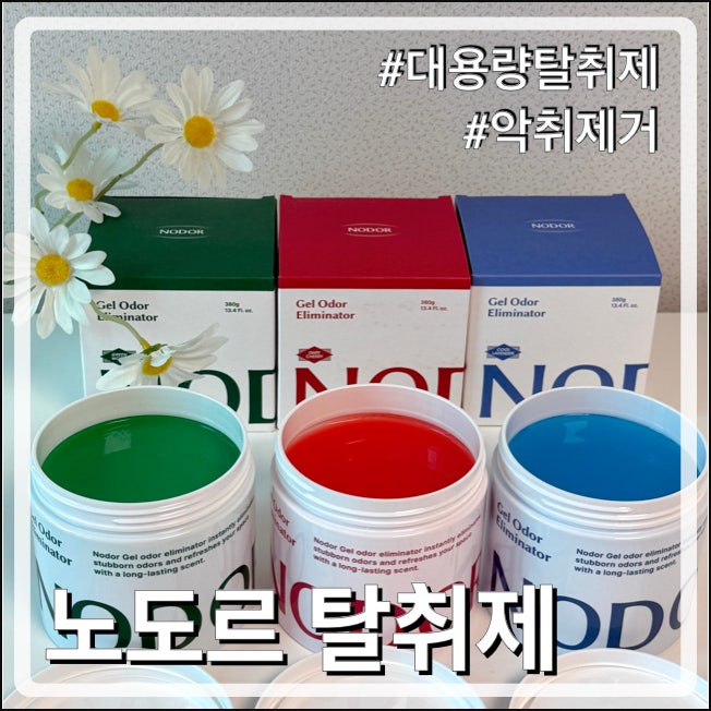 여름철 악취 고민 끝! 대용량탈취제 노도르고체탈취제 솔직 사용 후기 (탈취제추천, 가성비....