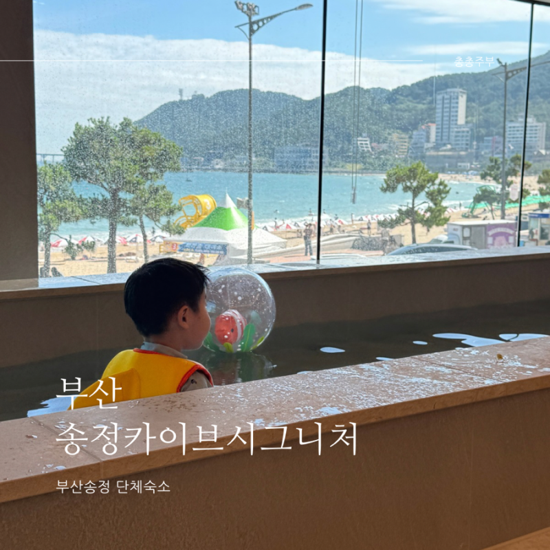 부산 송정 단체 대가족 숙소 카이브 시그니처점 프리미엄스위트S2 아이랑 후기