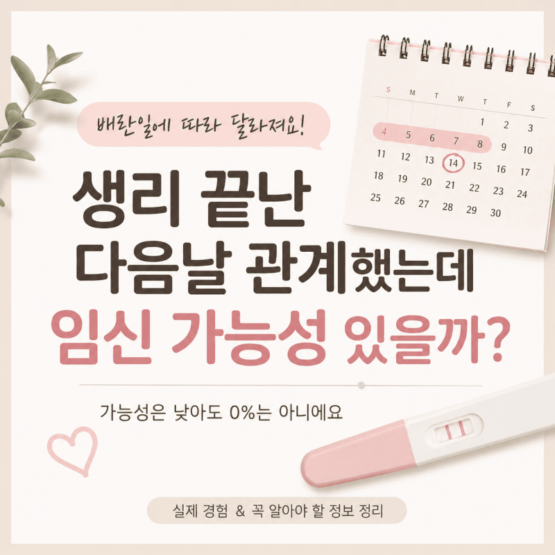 생리 끝난 다음날 관계했는데 임신 가능성 있을까? 배란일에 따라 달라져요