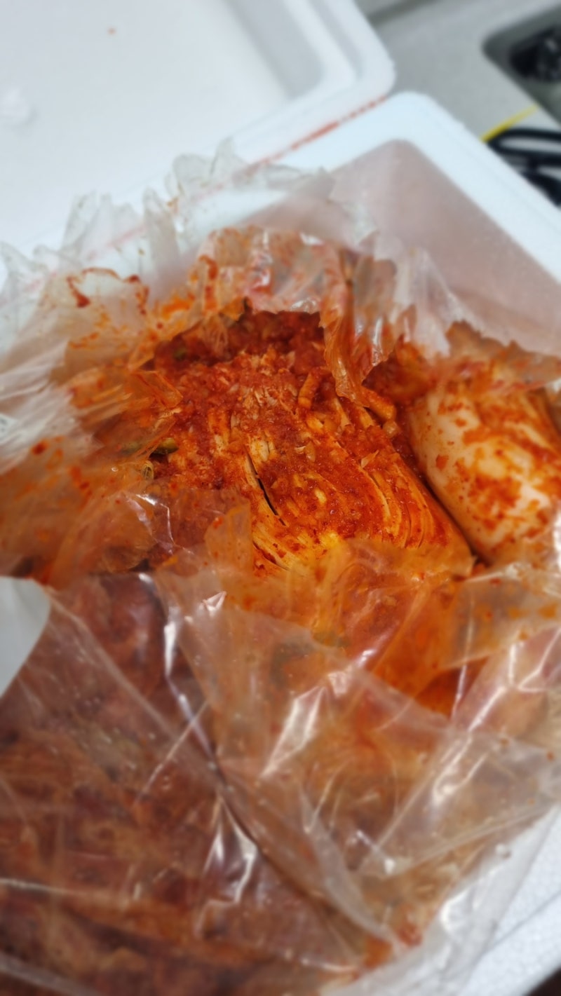 도미솔 포기김치 후기｜여러 번 구매한 우리 집 김치, 살짝 익어도 맛있었던 이유