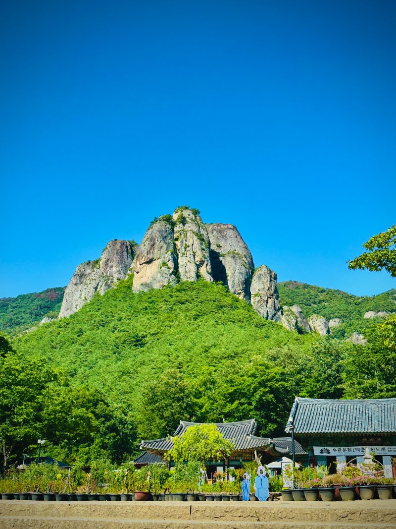 여름 등산은 진짜 하는 게 아니다 청송 주왕산 등산기
