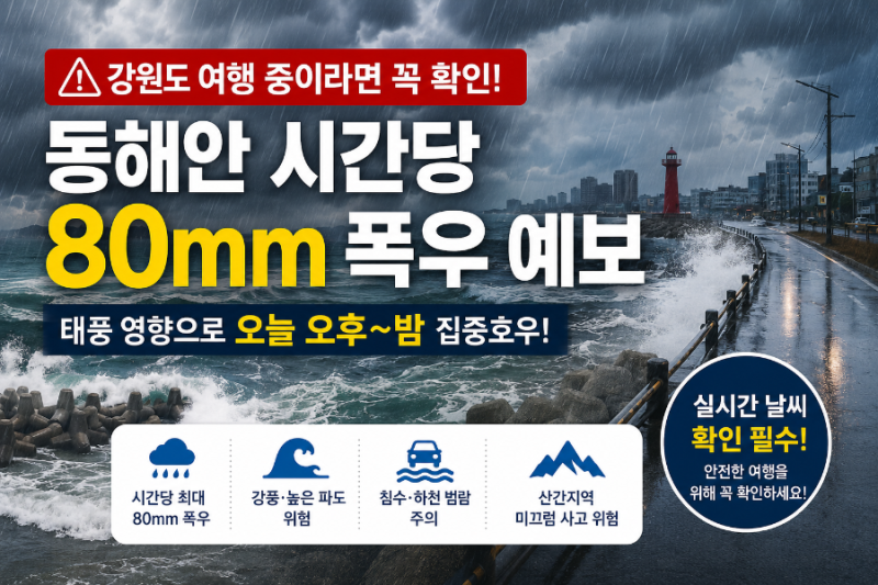태풍 돌핀 영향! 강원도 동해안 시간당 80mm 폭우…여행객 꼭 확인하세요