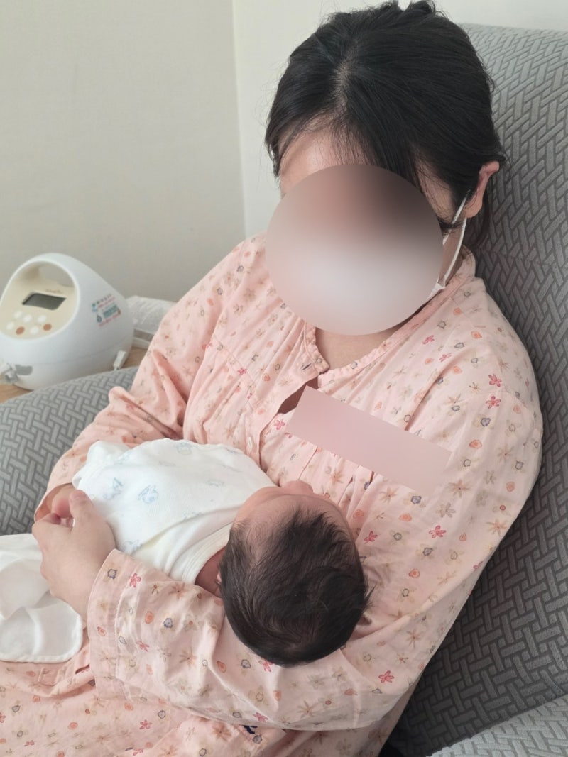 조리원에서 급하게 추가 주문한 출산 후 필수템 3가지 맘스안심팬티 모유콜렉터 하루브라 수....
