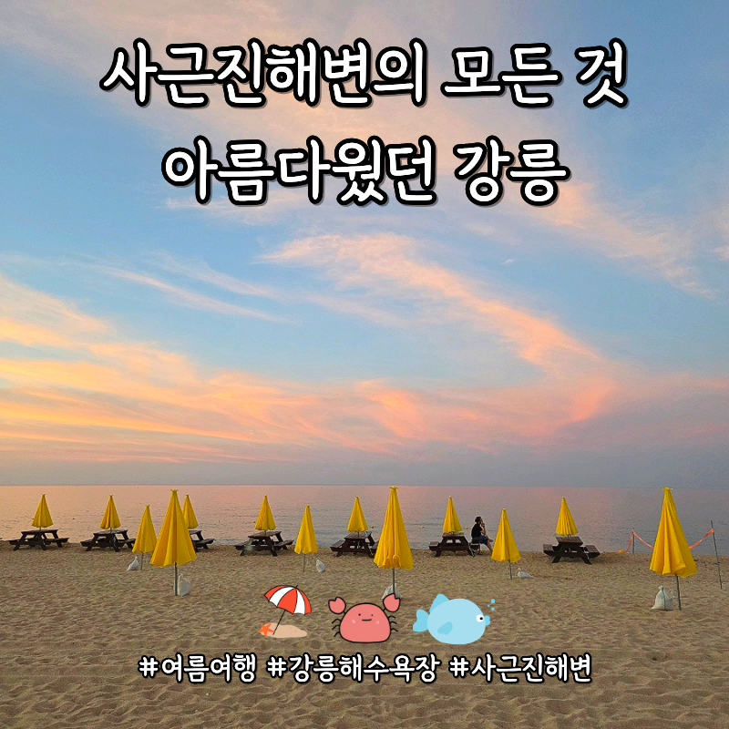 강릉 사근진해변 해수욕장 샤워장 스노쿨링 주차장 차박 근처 맛집