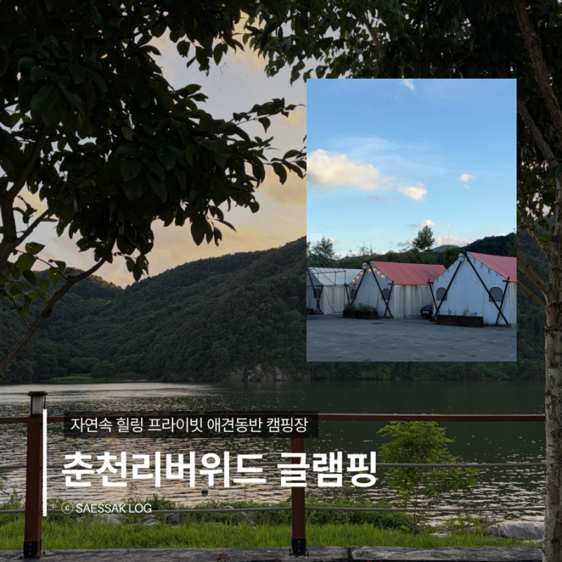 [춘천] 리버위드 글램핑 서울근교 리버뷰 애견동반 숙소후기 / 강원도 가족여행 글램핑 추천