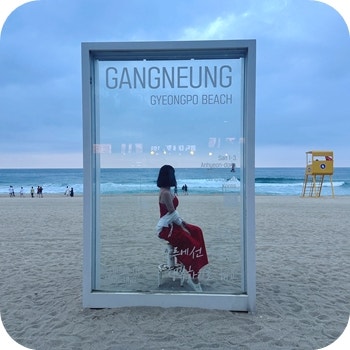 Gyeongpodae Beach Accommodation (Motel), Parasol, Life Vest Rental Prices