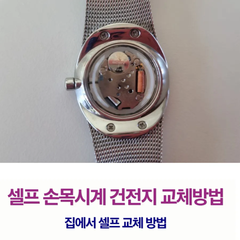 집에서 셀프 손목시계 건전지교체 방법 생각보다 쉬워요!