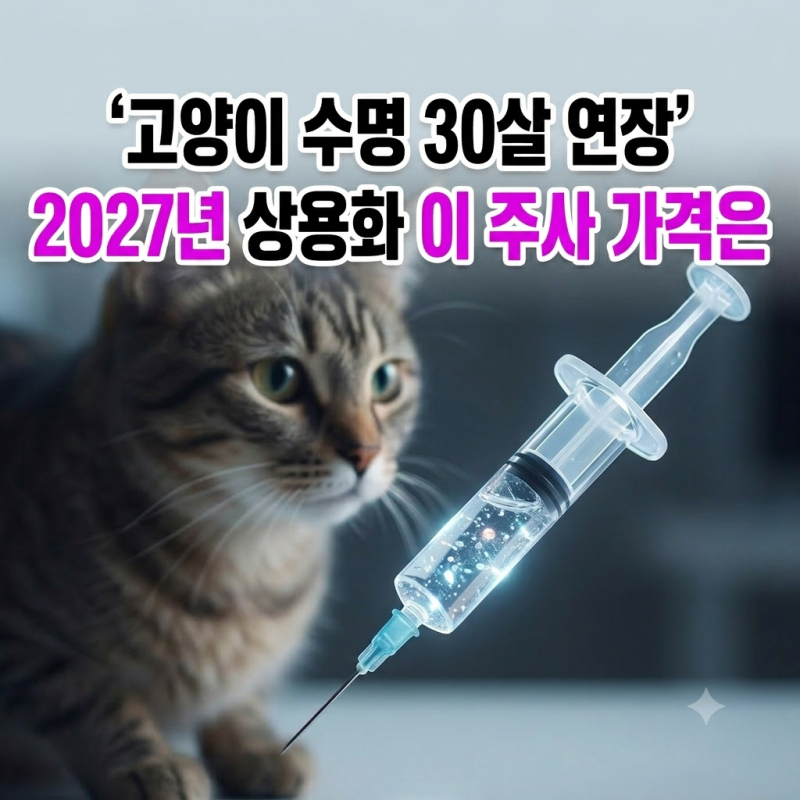 "고양이 수명이 30살까지 연장" 2027년 상용화! 일본에서 개발 성공한 이 주사 가격은?(AIM 신장....