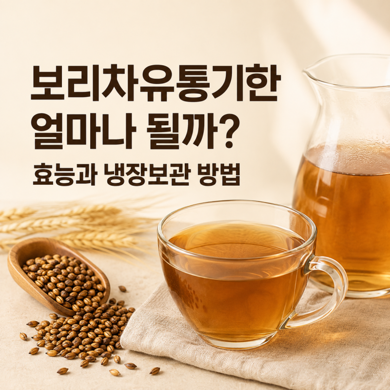 보리차유통기한 얼마나 될까? 효능 냉장 보관 방법