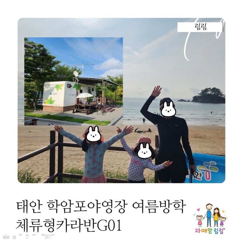 태안 학암포야영장 체류형카라반G01 1박2일 후기 아이들과 바다에서 조개도 잡고 감바스까지