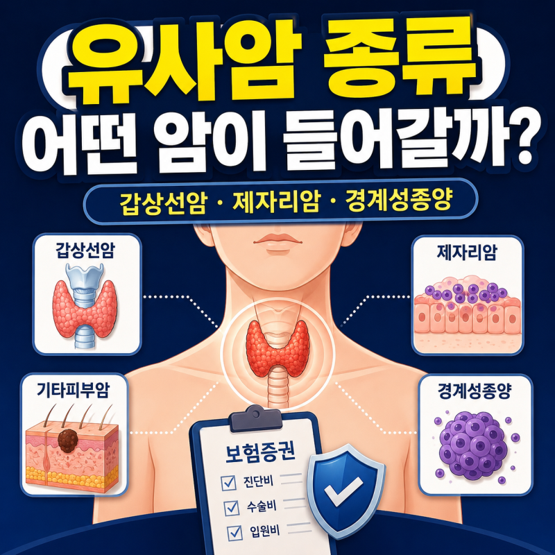유사암 종류 갑상선암 제자리암 경계성종양 진단비 지급 기준