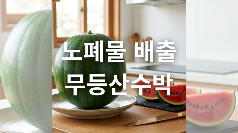 무등산수박 특산품 지정 기준과 효능 및 구매 시 주의사항