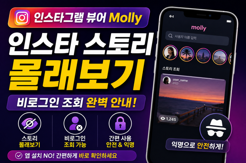 인스타그램 뷰어 Molly 사용법｜스토리 몰래보기·비로그인 조회 안내