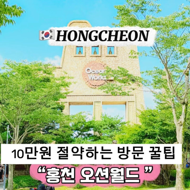 26년 홍천 오션월드 입장권 할인 최대 10만원 절약 꿀팁