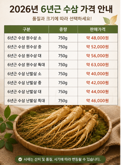 2026년 6년근 인삼 가격, 왜 이렇게 비쌀까? 적정 가격 알아보기