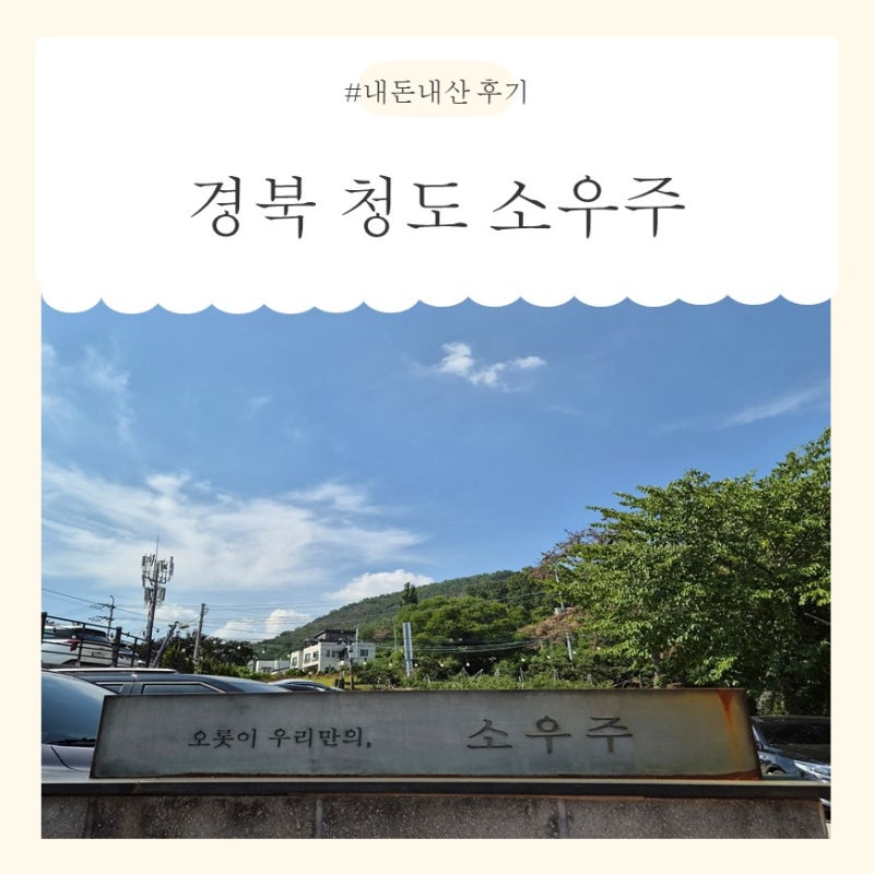 [Cheongdo, Gyeongbuk] An Even Better YES Kids Zone! The Ultimate Kid-Friendly Water Play Spot Near Daegu for Families