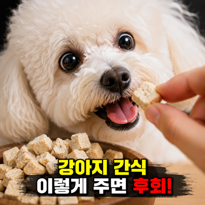 강아지 수제간식, 닭가슴살 동결건조간식 애견수제간식 선택과 급여법