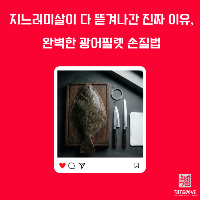 광어 필렛 광어 회뜨기 일식학원에서 알려주는 방법은?