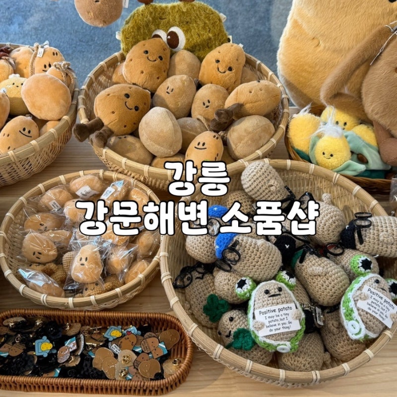 강릉 강문해변 소품샵 3곳 추천 강문상점 오리둥지 강문모퉁이