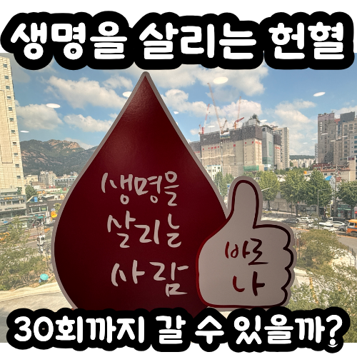 헌혈 도전기 | 30회 채우고 은장 받을 수 있을까?_헌혈의집/레드커넥트/헌혈혜택/혈액검사결....