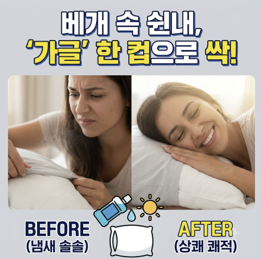 베개 이불 냄새 제거법 커버만 빨면 소용없는 이유
