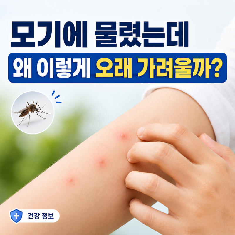 모기에 물렸는데, 약을 발라도 왜 계속 가려울까?* 가려움을 조금이라도 빨리 가라앉히는 방....