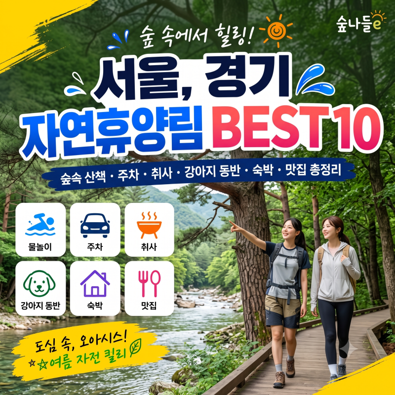 서울/경기, 올여름 갓성비 '자연휴양림' 베스트 10 완전 정복! (반려견 동반 여부)