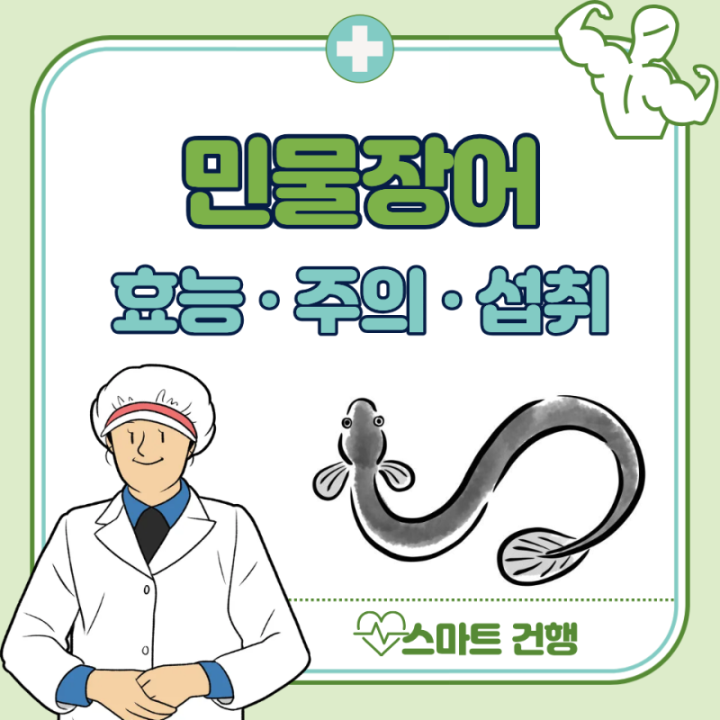 민물장어 효능 5가지, 부작용 : 바다장어 차이