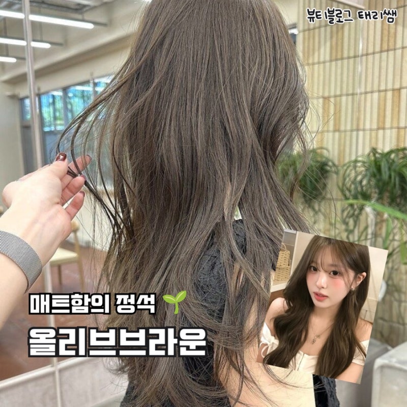 붉은기 싹 잡는 올리브 브라운 염색! 톤다운, 탈색 여부부터 쿨톤·웜톤 추천까지 총정리