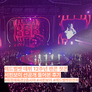 레드벨벳 팬 콘서트 첫콘 다녀와서 신곡 서핀보이 선공개 들어본 후기 / 화정체육관 2층 시야