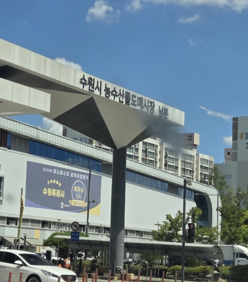 수원시 농수산물도매시장 수산동 채소동 과일동