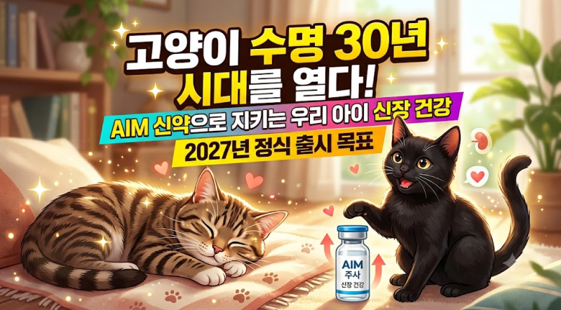 고양이 수명 30년 시대를 열다! AIM 신약 개발 현황과 출시일 정리