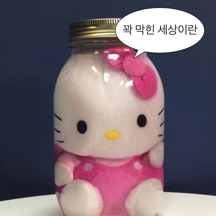 [보금자리론] 전세 거쳐 드디어 내 집으로 | 20대 첫 아파트 매매 이야기 (2)