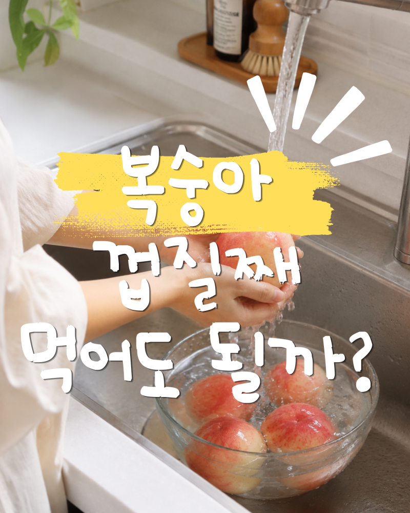 복숭아 껍질째 먹어도 될까? 복숭아 씻는법부터 보관방법까지 총정리