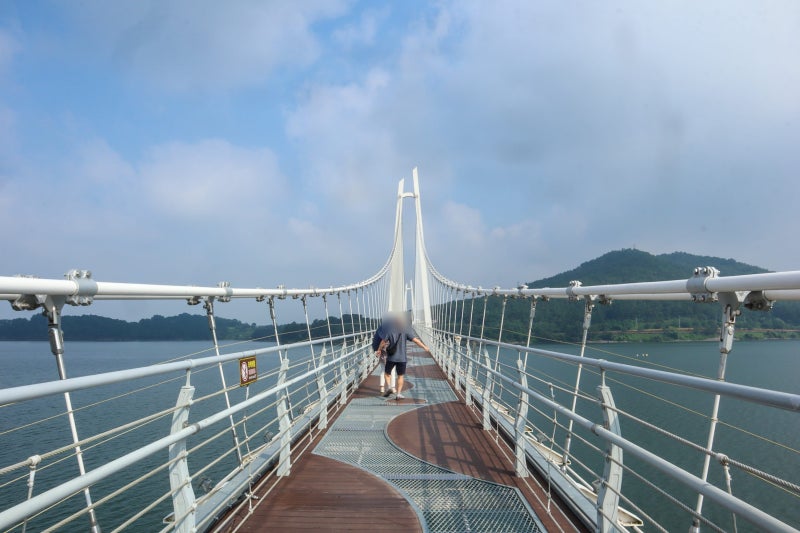 충남 논산 가볼만한곳 탑정호출렁다리 | 목수국도 구경할수 있는 곳