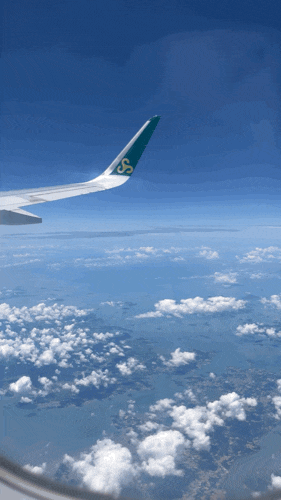 청주국제공항 주차꿀팁/청주공항 식사/해외여행