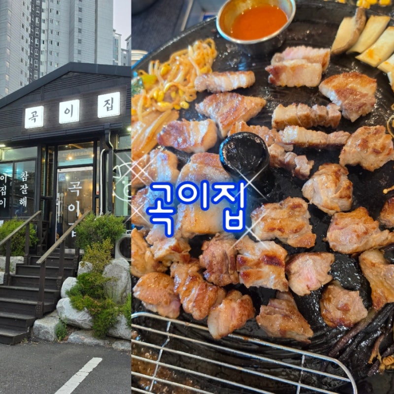 군산 지곡동 고기맛집 곡이집｜군산 고기집 추천