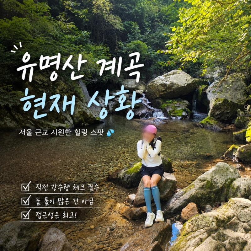 양평 가평 계곡 유명산 자연휴양림 계곡(현재 강력추천)