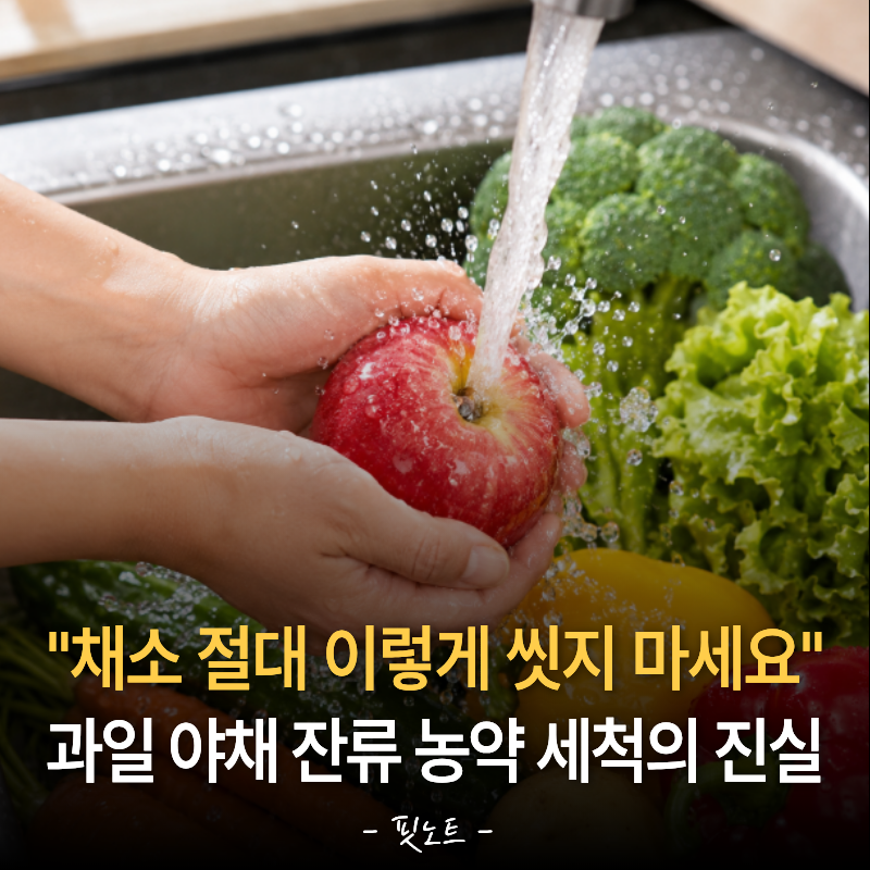 "채소 절대 이렇게 씻지 마세요" 과일 야채 잔류 농약 세척의 진실