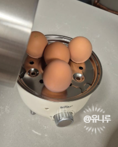 베어 올스텐 미니 계란찜기 사용 후기! 계란찜기 사용법 시간 반숙 완숙 꿀팁