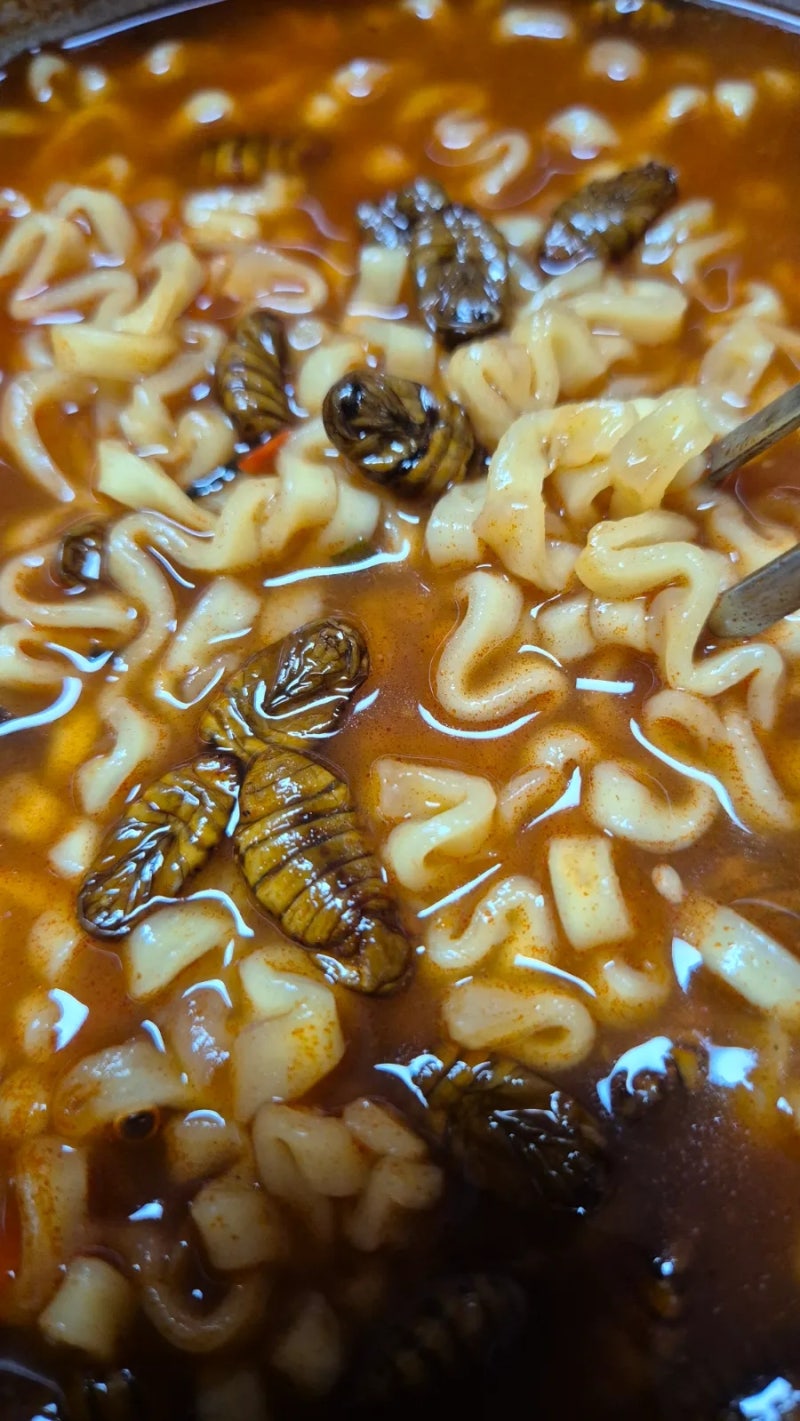 불닭볶음탕면 코다노 모짜렐라 슈레드치즈, 유동 번데기 넣어 입맛대로 맛있는 레시피 만들....