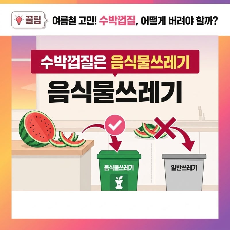 수박껍질 분리수거 정말 일반쓰레기일까 직접 따져본 배출 기준