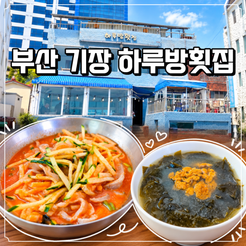 부산 기장 현지인 맛집 하루방횟집 물회와 성게미역국 솔직후기