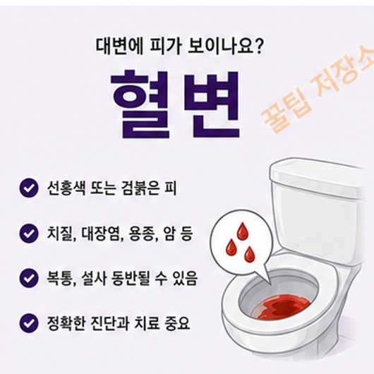 혈변 발생 원인, 관련 질환 및 통증, 건강 관리법