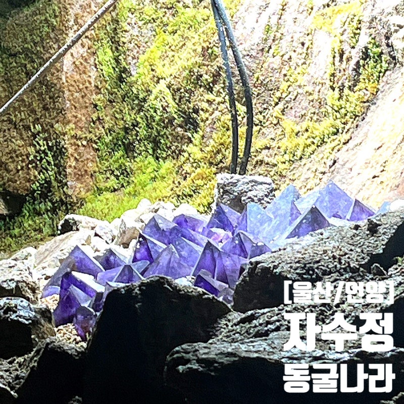 [울산/언양] 자수정동굴나라 | 한여름에도 시원한 울산 아이와 가볼만한곳, 보트 체험 후기